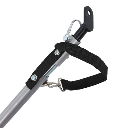 Rimorchio Da Bici Per Cani