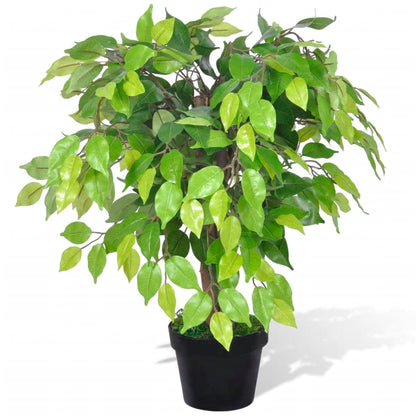 Albero Di Ficus Artificiale Con Vaso