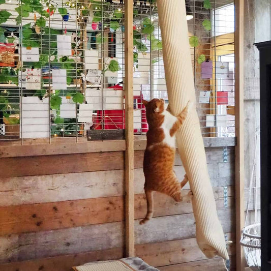 Quapas! Sacco Da Arrampicata Gatti Sisal 180 Cm