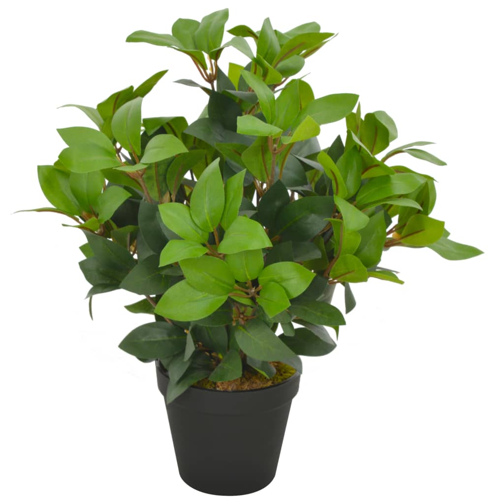 Albero Di Alloro Artificiale Con Vaso Verde