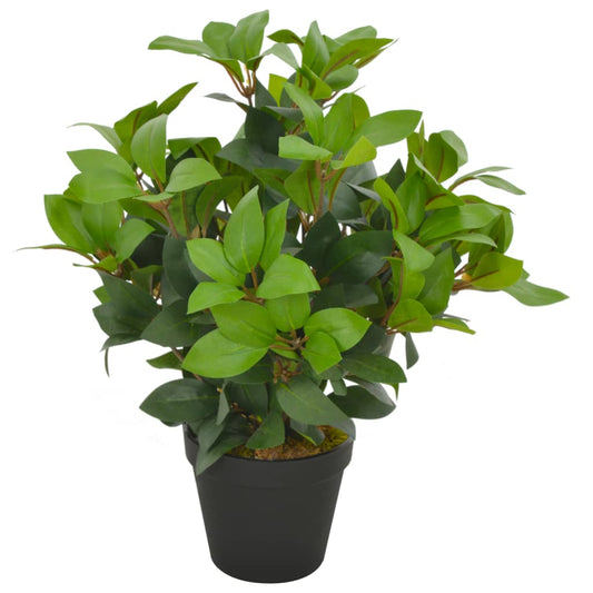 Albero Di Alloro Artificiale Con Vaso Verde