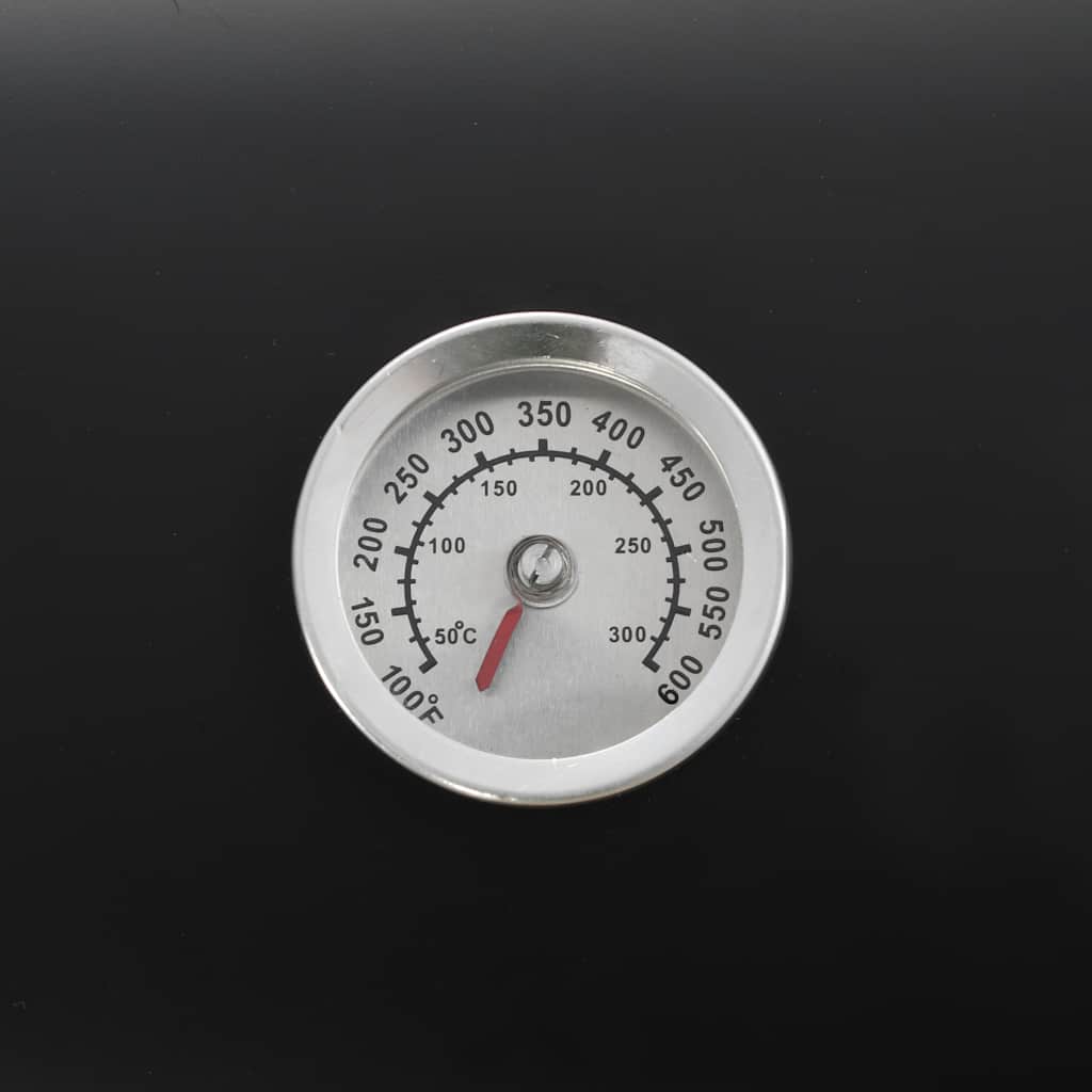 Barbecue Classico Affumicatore A Carbonella