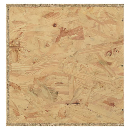 Terrario In Legno Multistrato