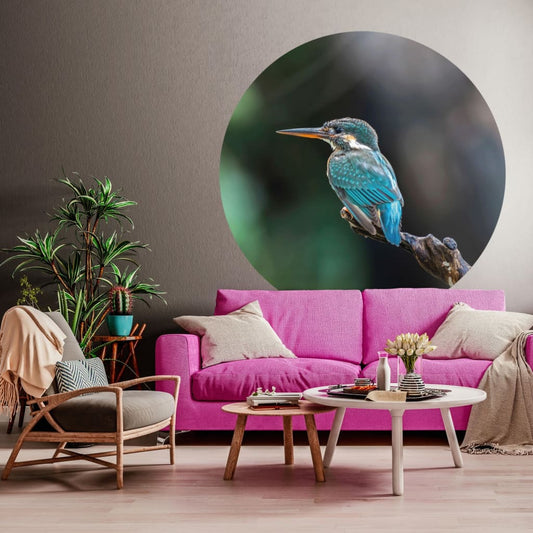 Wallart Cerchio Carta Da Parati The Kingfisher 142,5 Cm