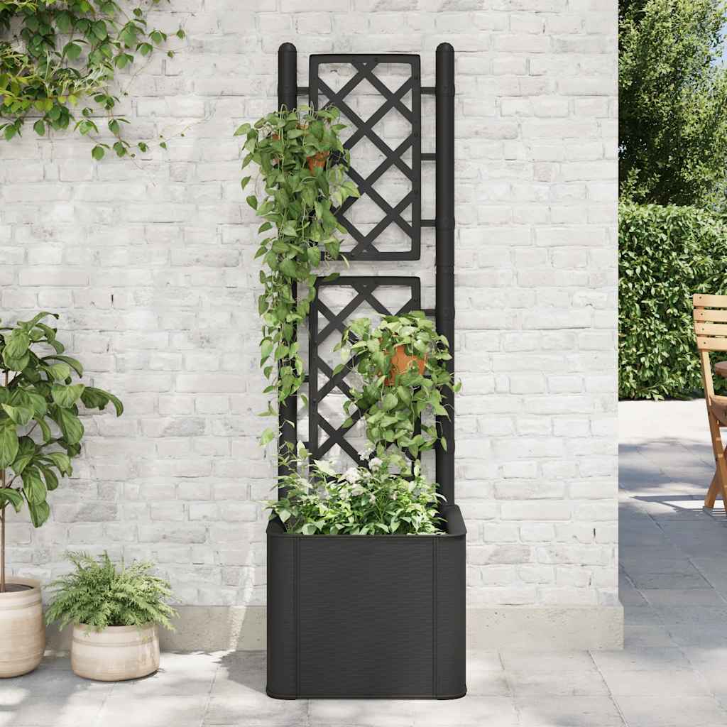 Letto Rialzato Da Giardino Con Graticcio E Irrigazione
