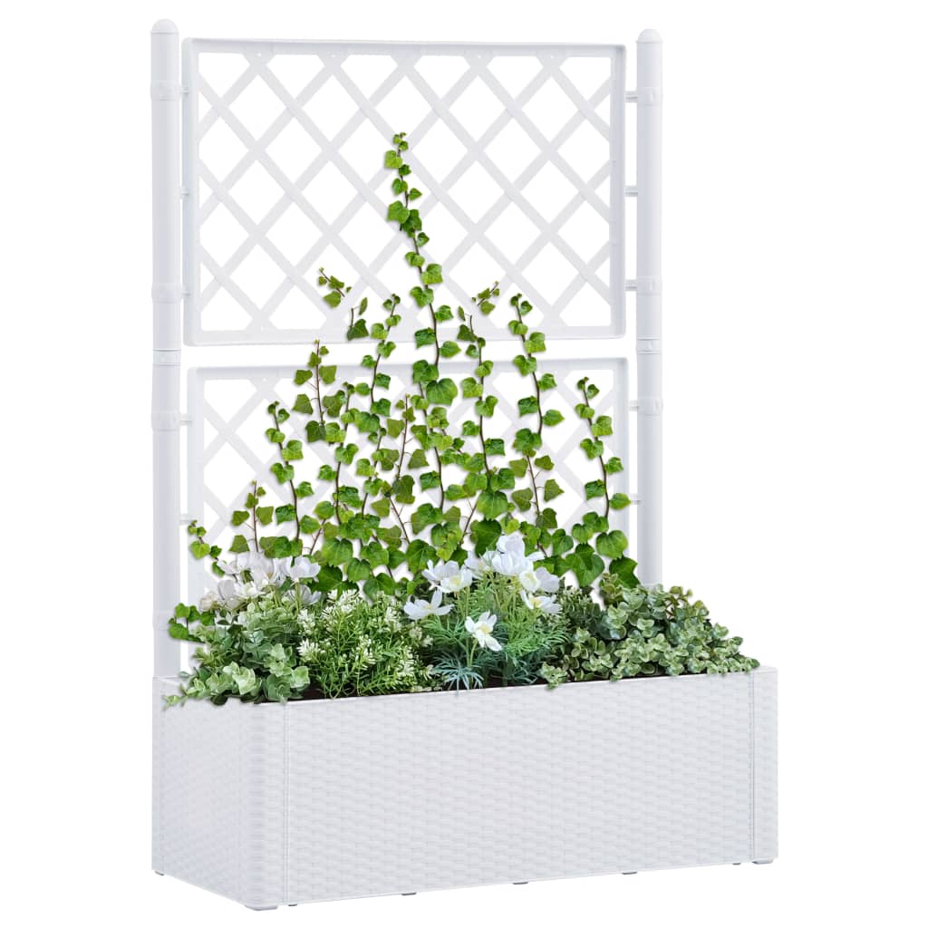 Letto Rialzato Da Giardino Con Graticcio E Irrigazione