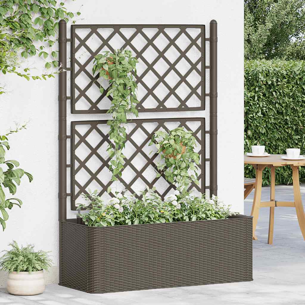 Letto Rialzato Da Giardino Con Graticcio E Irrigazione