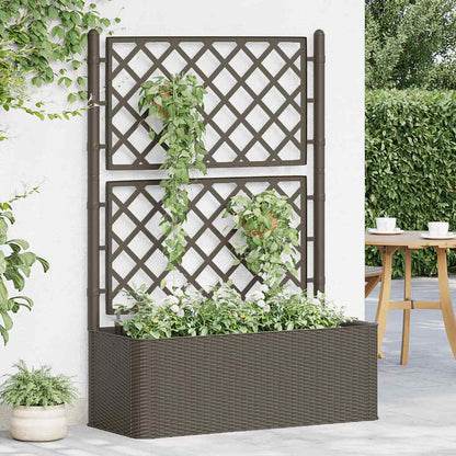 Letto Rialzato Da Giardino Con Graticcio E Irrigazione