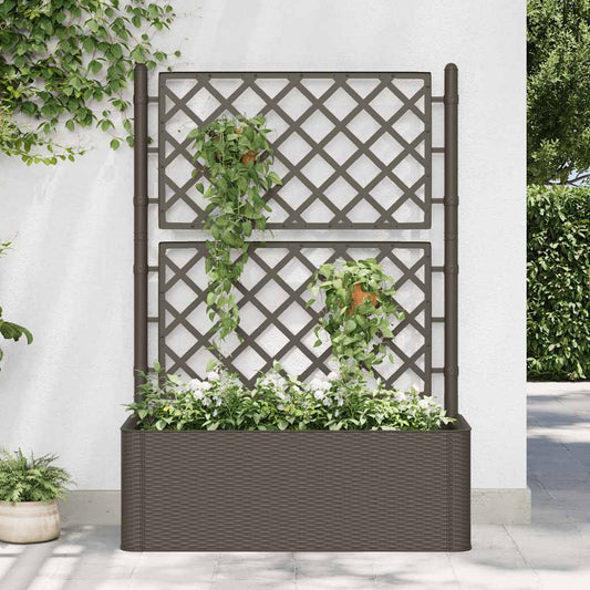 Letto Rialzato Da Giardino Con Graticcio E Irrigazione