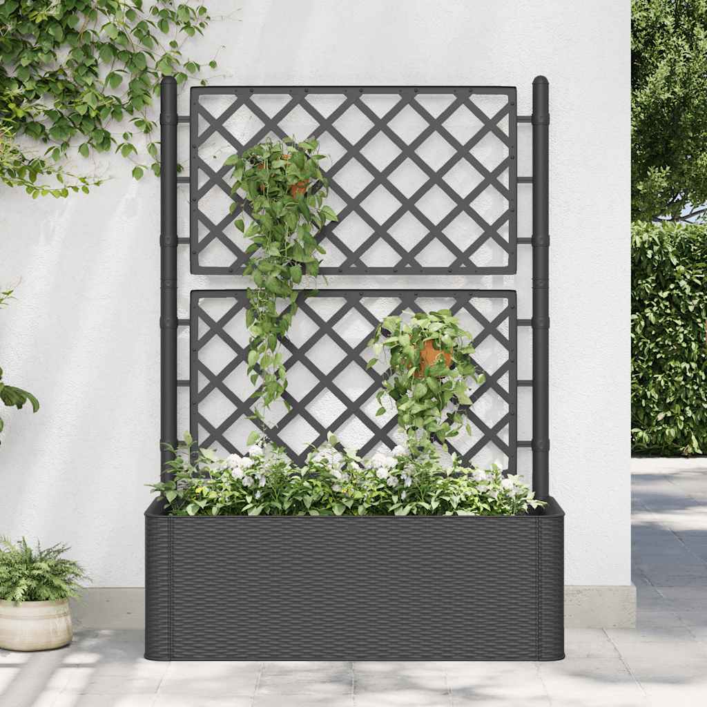 Letto Rialzato Da Giardino Con Graticcio E Irrigazione