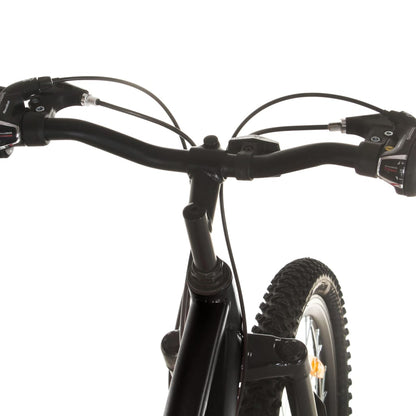 Mountain Bike 21 Speed 29&quot; Ruote Telaio