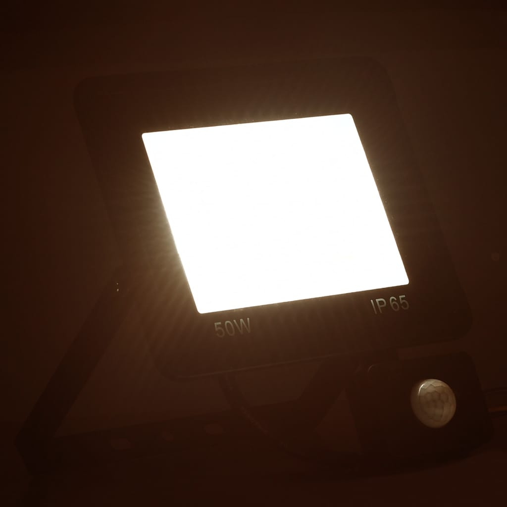 Faretto A Led Con Sensore