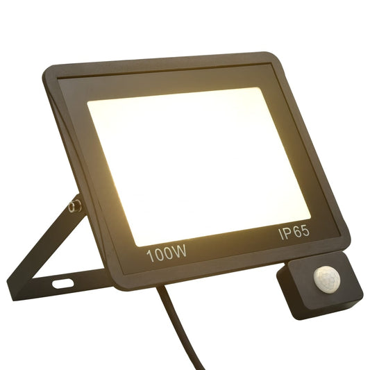 Faretto A Led Con Sensore