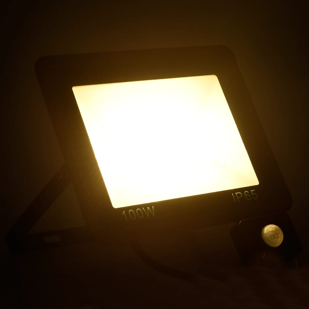 Faretto A Led Con Sensore