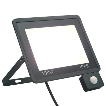 Faretto A Led Con Sensore
