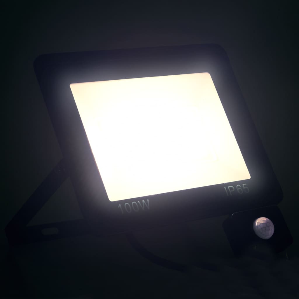 Faretto A Led Con Sensore