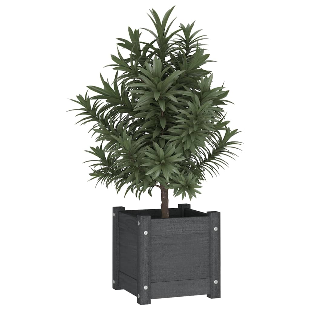 Fioriere Da Giardino 2 Pz Grigie 31X31X31 Cm In Legno Di Pino