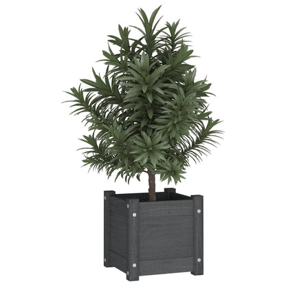 Fioriere Da Giardino 2 Pz Grigie 31X31X31 Cm In Legno Di Pino