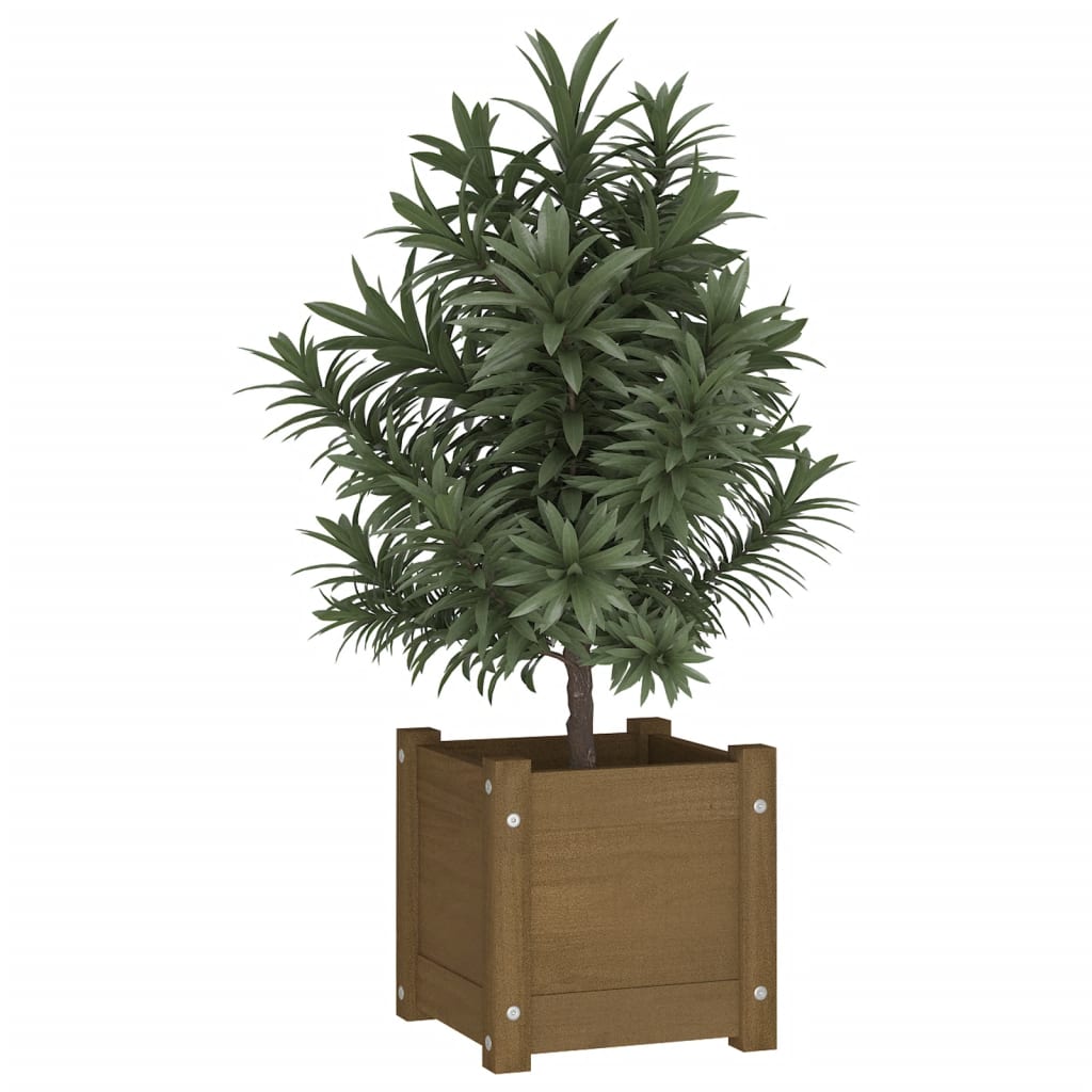 Fioriera Giardino Marrone Ambra 31X31X31 Cm Legno Massello Pino