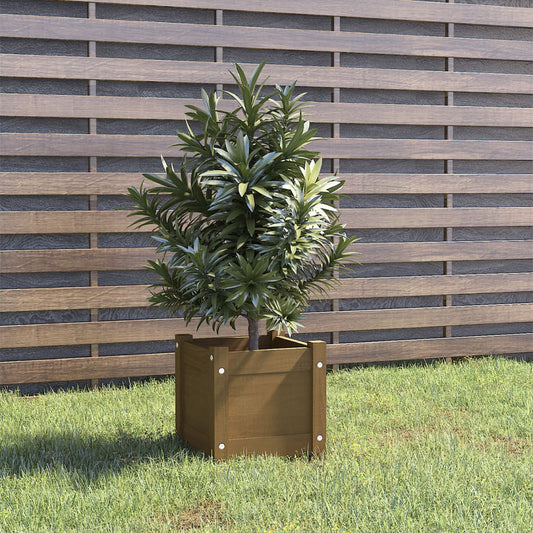 Fioriera Giardino Marrone Ambra 31X31X31 Cm Legno Massello Pino