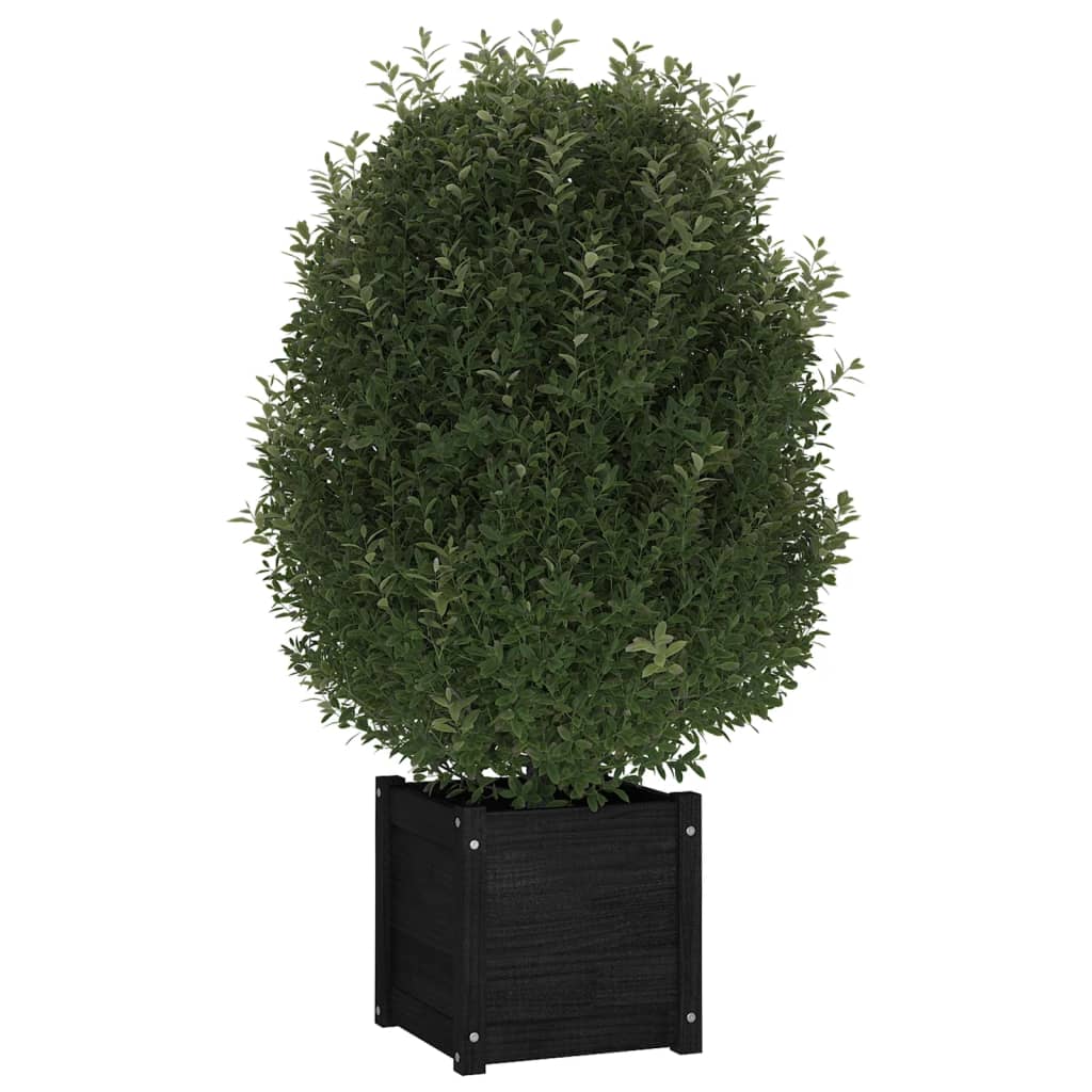 Fioriera Da Giardino Nera 40X40X40 Cm In Legno Massello Di Pino