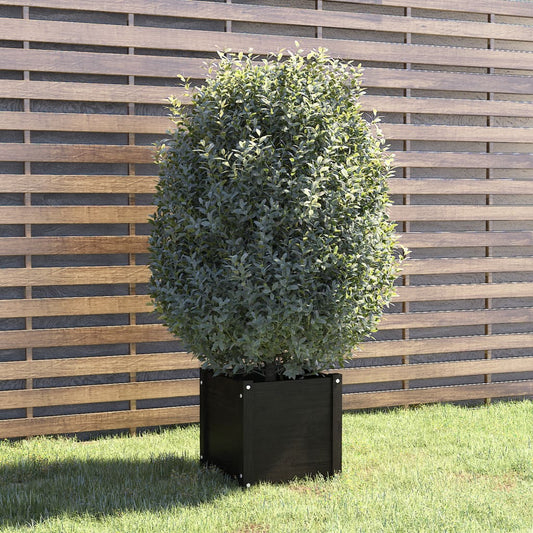 Fioriera Da Giardino Nera 40X40X40 Cm In Legno Massello Di Pino