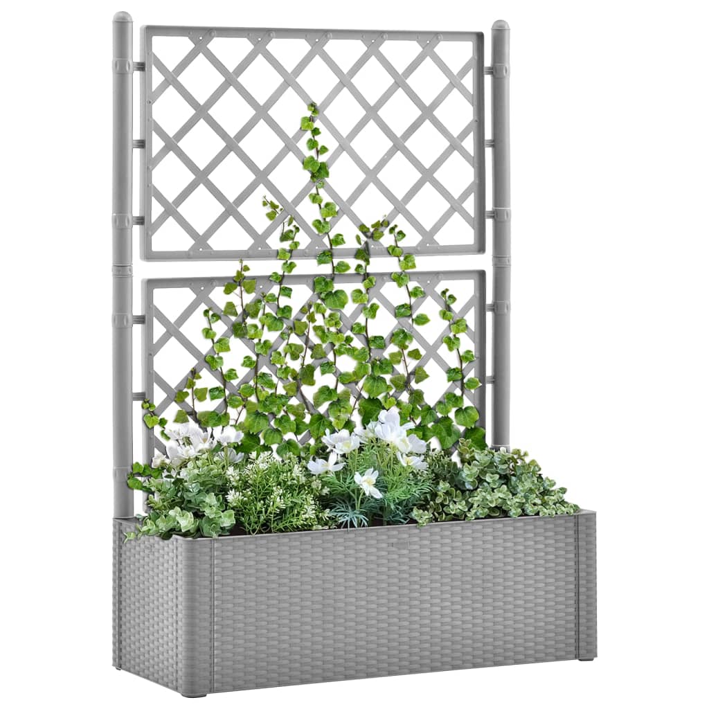 Letto Rialzato Da Giardino Con Graticcio E Irrigazione