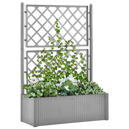 Letto Rialzato Da Giardino Con Graticcio E Irrigazione
