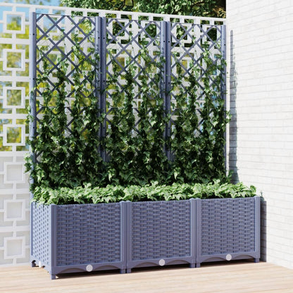 Fioriera Giardino Con Graticcio 120X40X136Cm Pp