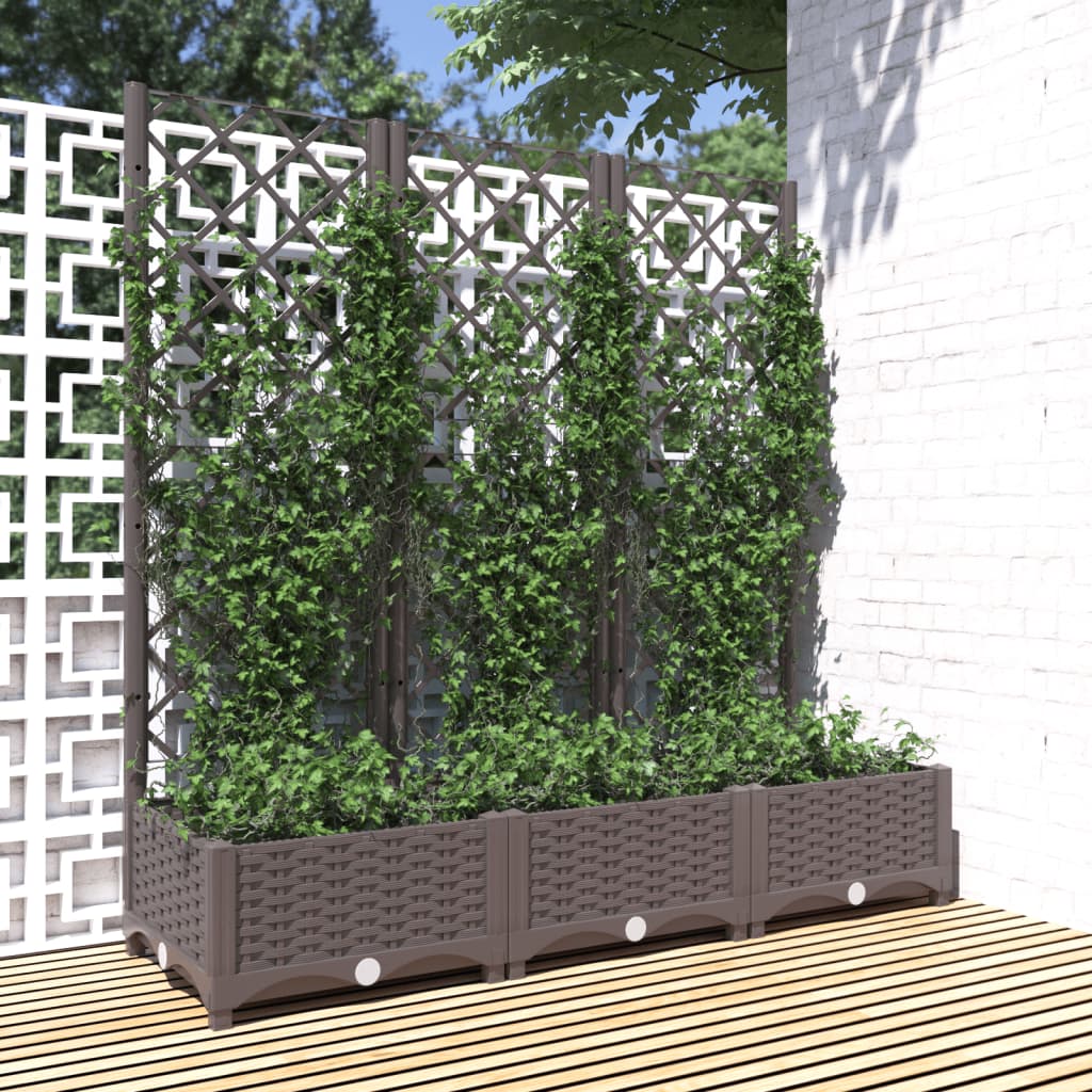Fioriera Giardino Con Graticcio 120X40X136Cm Pp