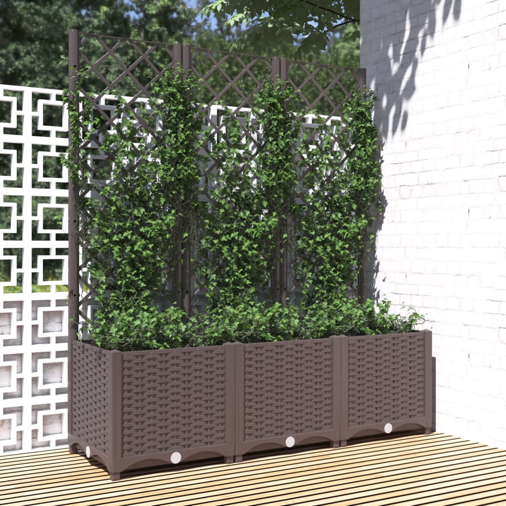 Fioriera Giardino Con Graticcio 120X40X136Cm Pp