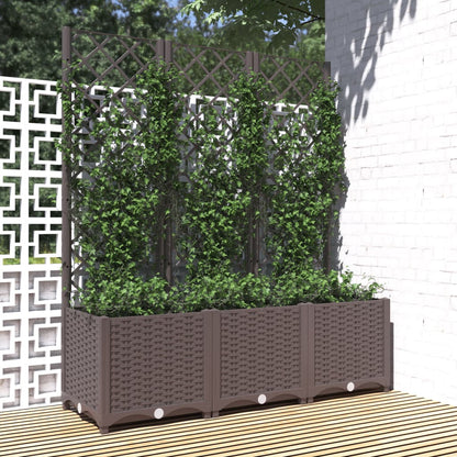 Fioriera Giardino Con Graticcio 120X40X136Cm Pp
