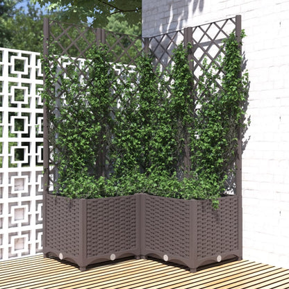 Fioriera Giardino Con Graticcio 120X40X136Cm Pp