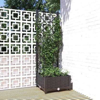 Fioriera Giardino Con Graticcio 120X40X136Cm Pp