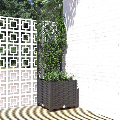 Fioriera Giardino Con Graticcio 120X40X136Cm Pp