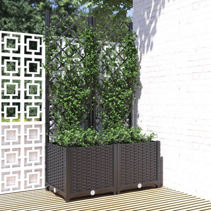 Fioriera Giardino Con Graticcio 120X40X136Cm Pp