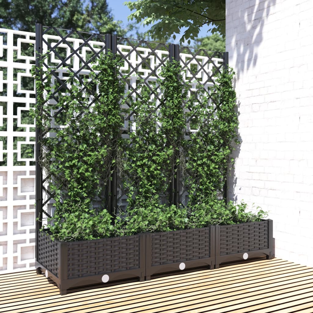 Fioriera Giardino Con Graticcio 120X40X136Cm Pp
