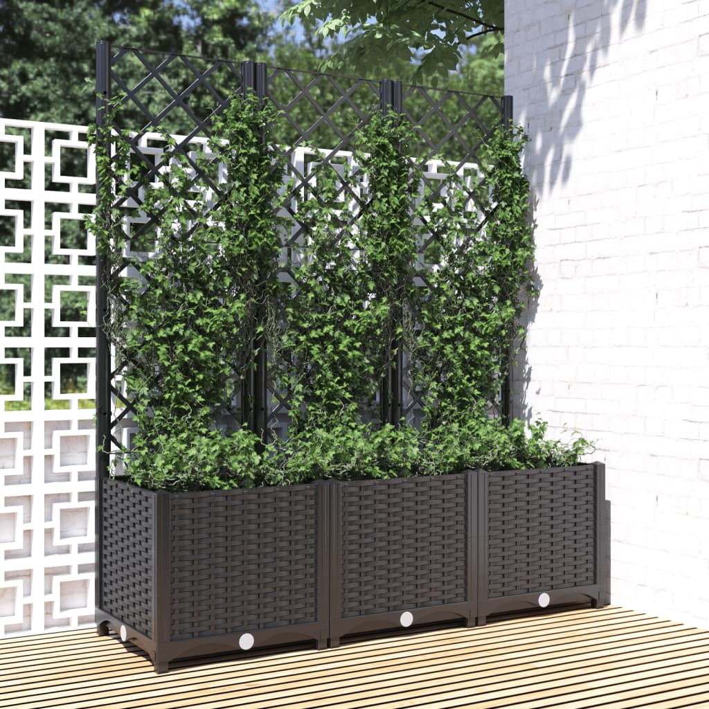 Fioriera Giardino Con Graticcio 120X40X136Cm Pp