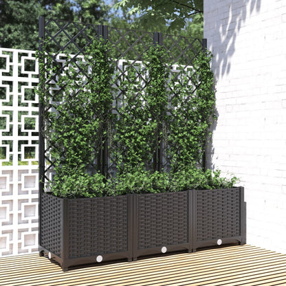 Fioriera Giardino Con Graticcio 120X40X136Cm Pp