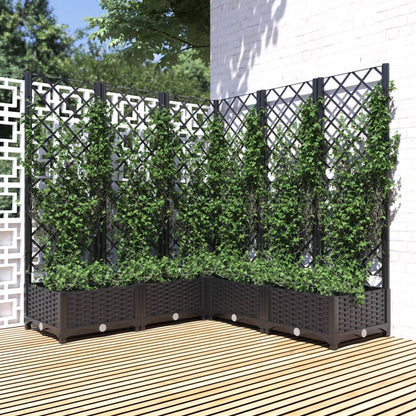 Fioriera Giardino Con Graticcio 120X40X136Cm Pp