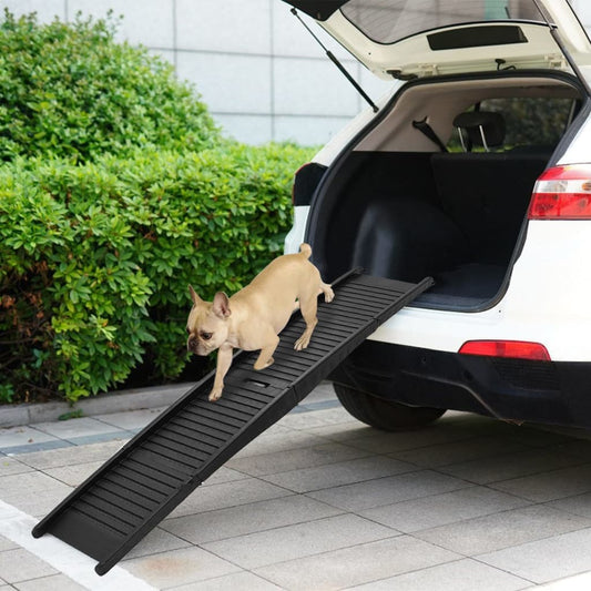 Rampa Per Cani Pieghevole Nera 153X40X12,5 Cm In Plastica Bianco