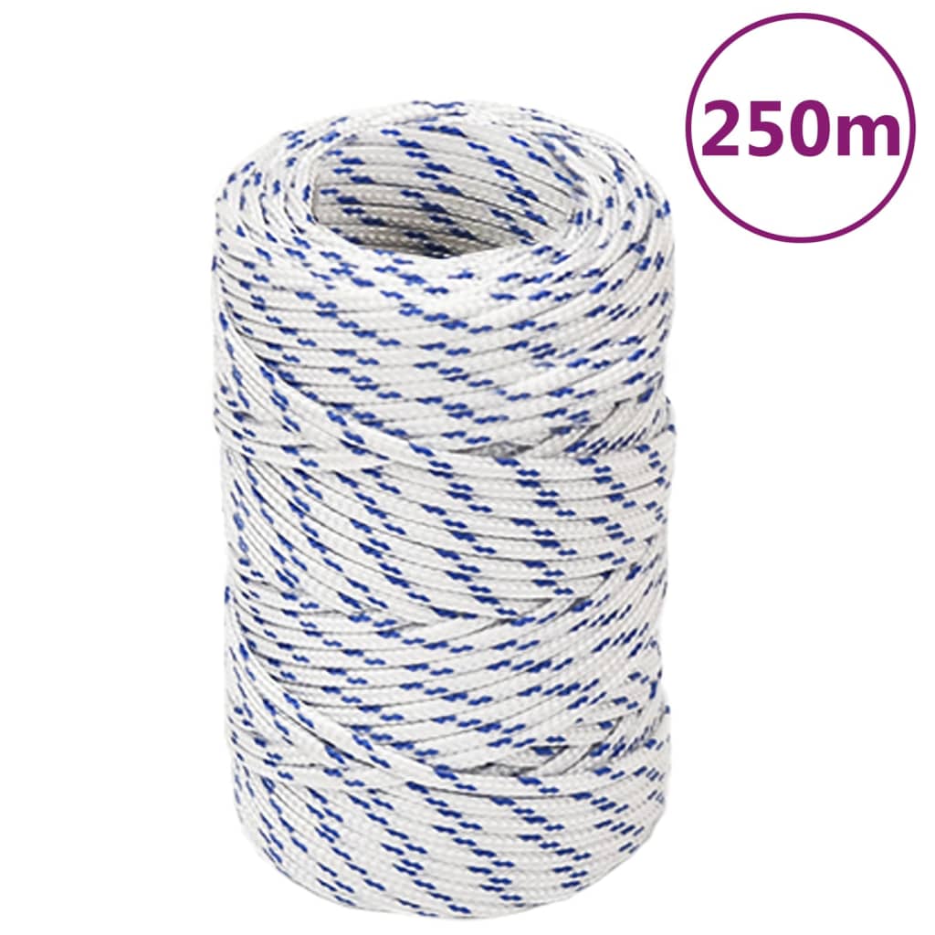 Corda Per Barca Bianca In Polipropilene Bianco E Blu