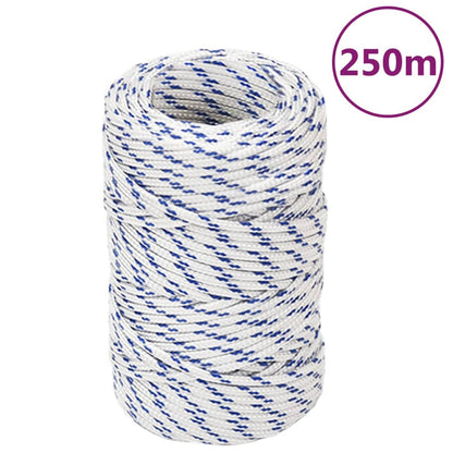 Corda Per Barca Bianca In Polipropilene Bianco E Blu