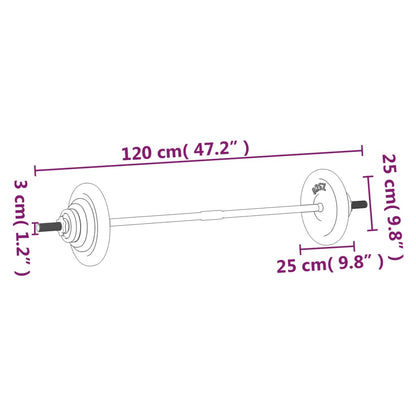 Set Bilanciere Con Dischi 30 Kg In Ghisa