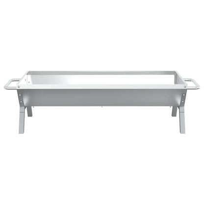 Vassoio Per Barbecue Argento 118X42X30,5 Cm Acciaio Inox