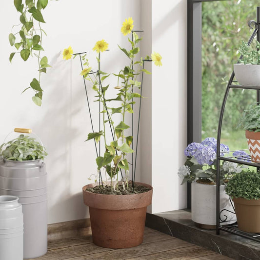 Supporti Per Piante Da Giardino 20 Pz Verde Scuro Acciaio
