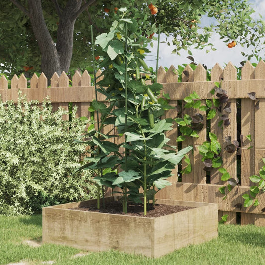 Supporti Piante Da Giardino Con 3 Anelli 5Pz Verde 75Cm Acciaio