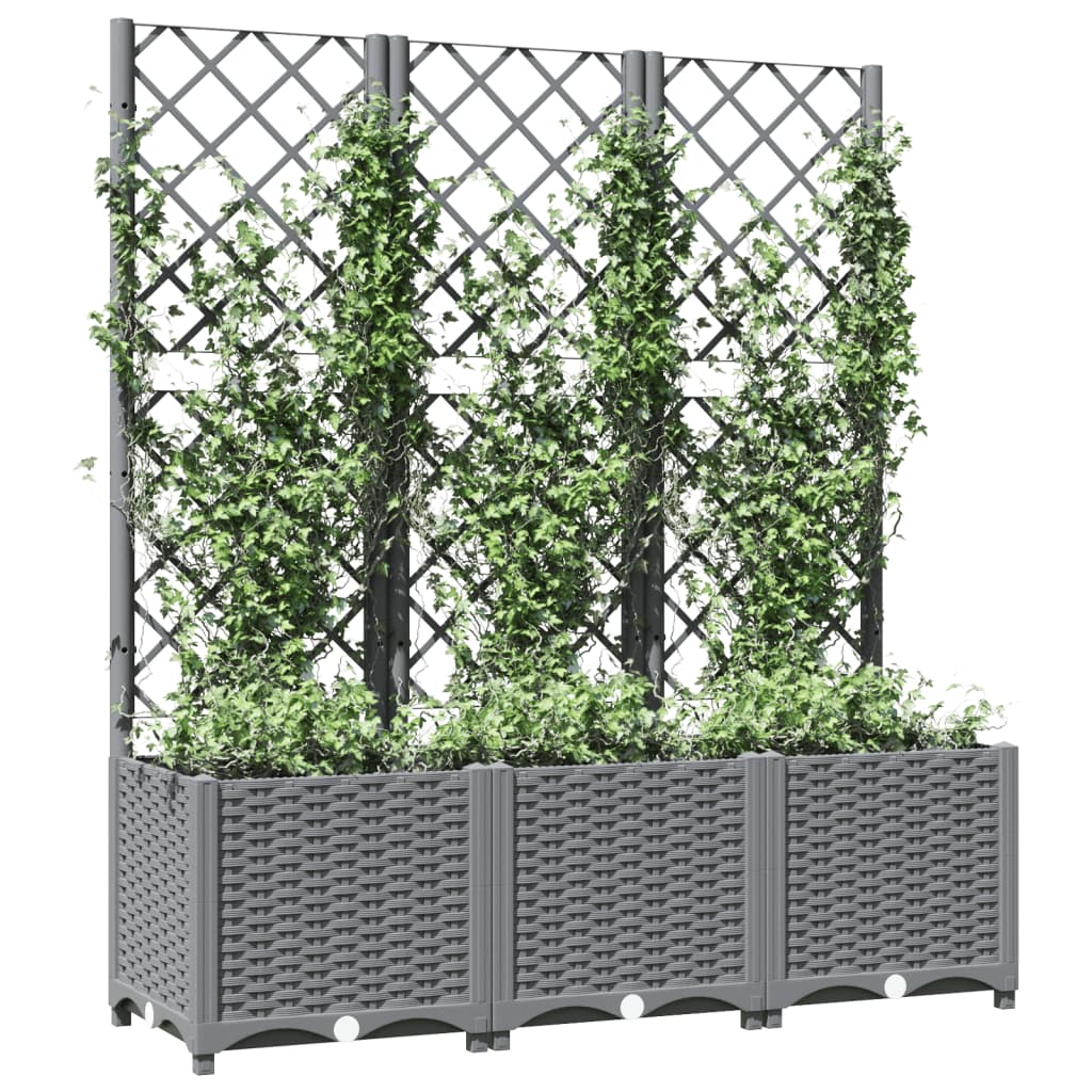 Fioriera Giardino Con Graticcio 120X40X136Cm Pp