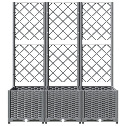 Fioriera Giardino Con Graticcio 120X40X136Cm Pp