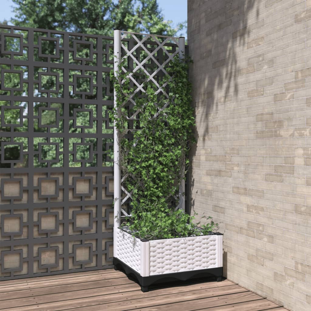 Fioriera Giardino Con Graticcio 120X40X136Cm Pp